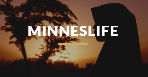 Students with Limited Formal Schooling? Come to the Free MinneSLIFE Conference!